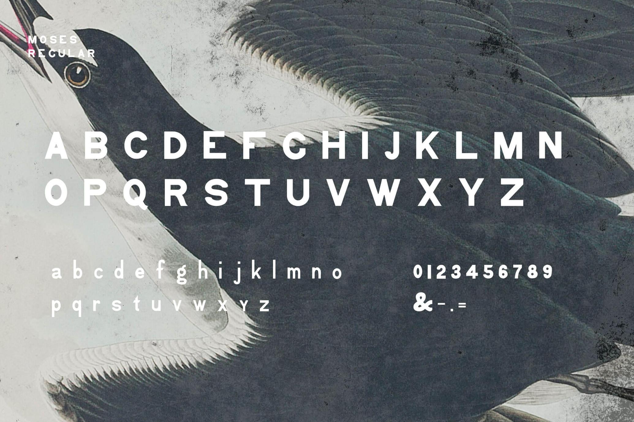 Moses Display Grotesque Typeface