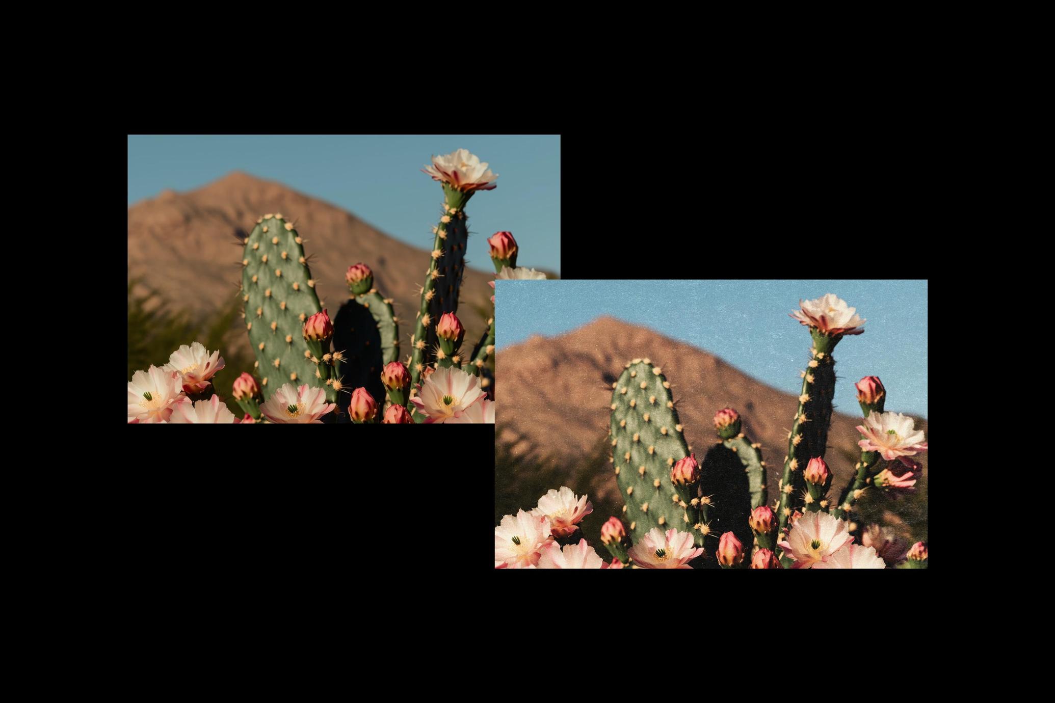 Authentic Postcard Photo Effect