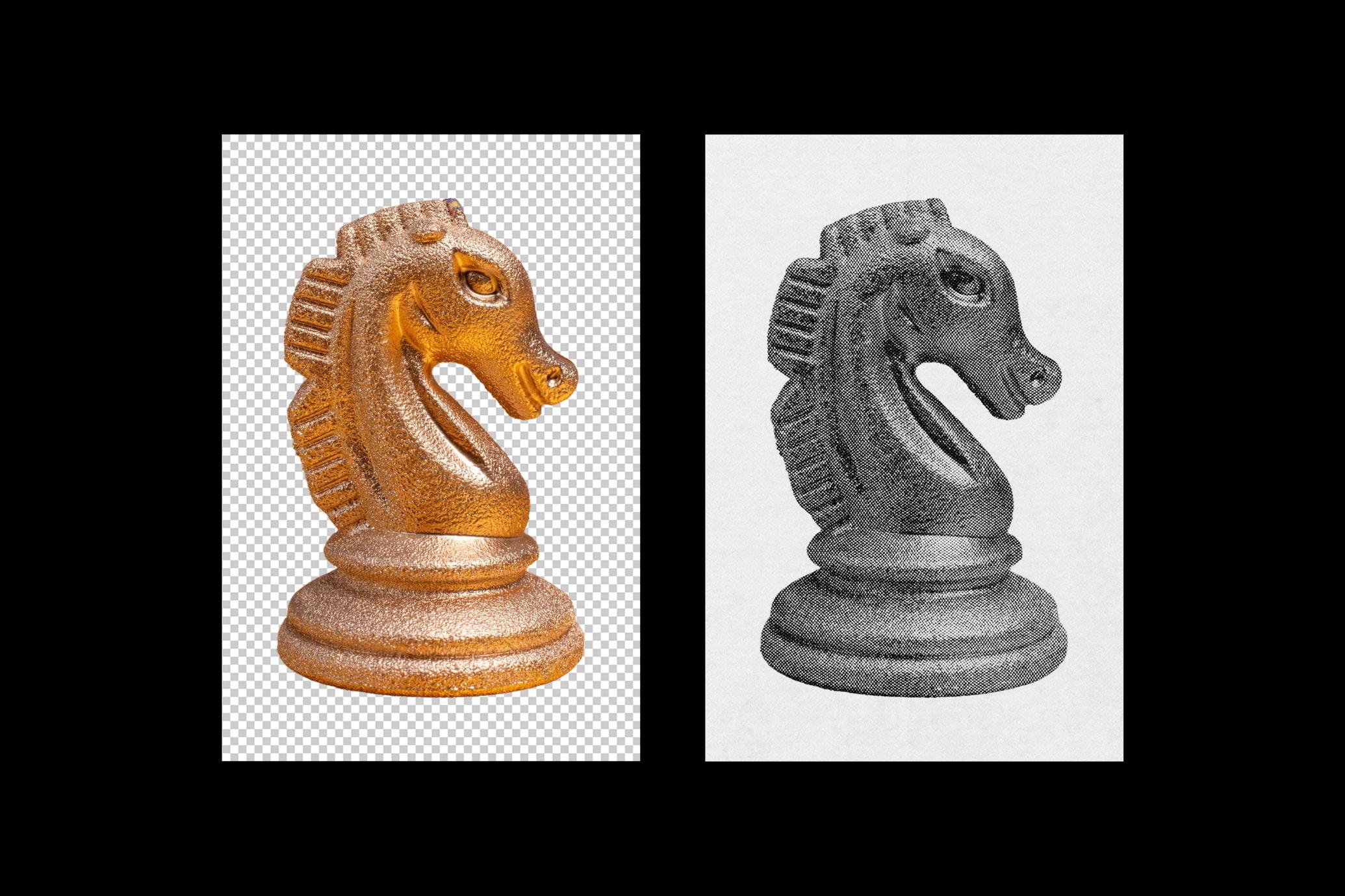 Antique Engraving Photo Effect