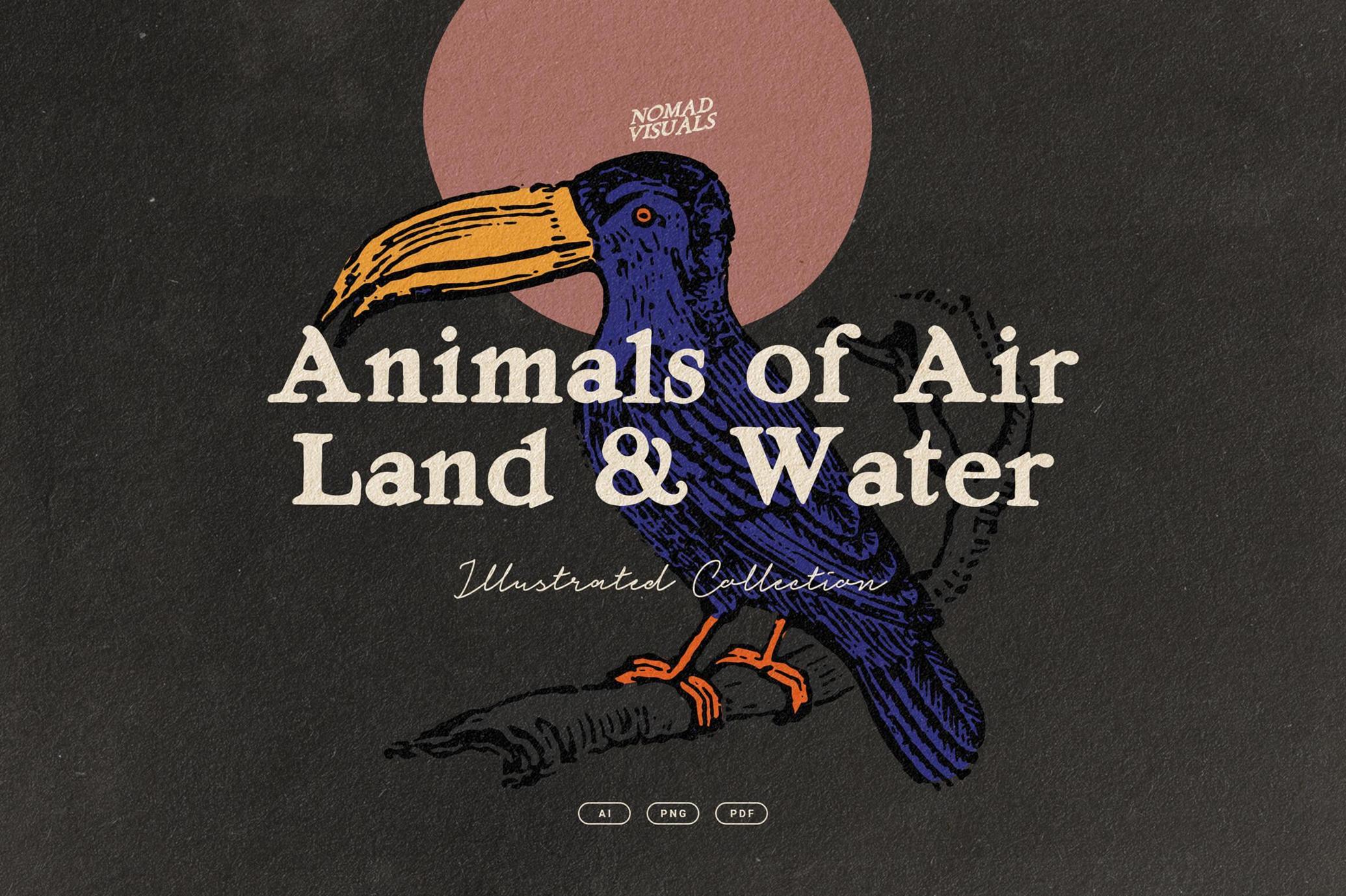 Animals of Air Land Water