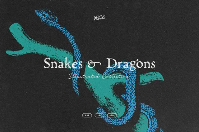 Snakes & Dragons Illustrations