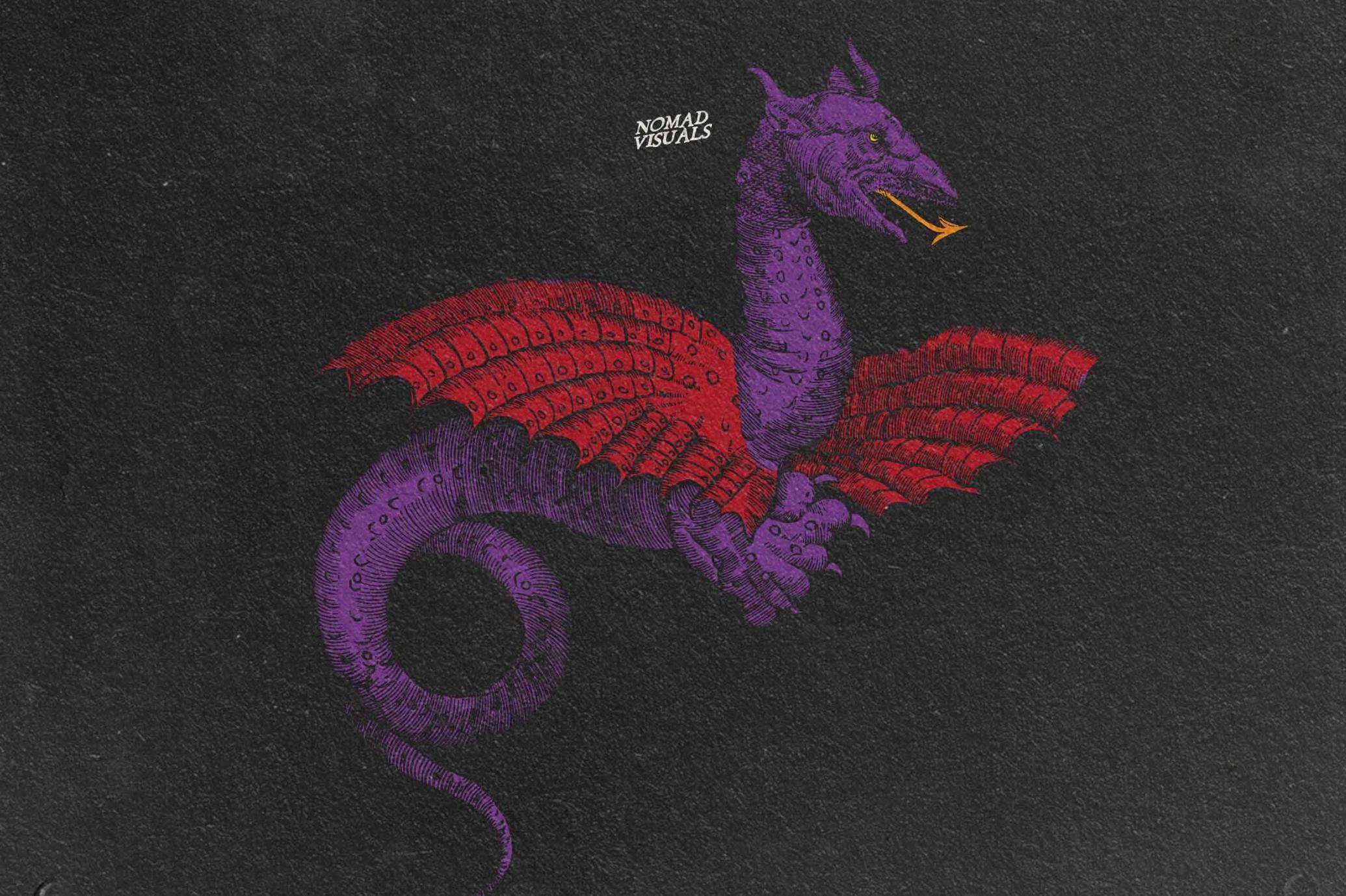 Snakes & Dragons Illustrations