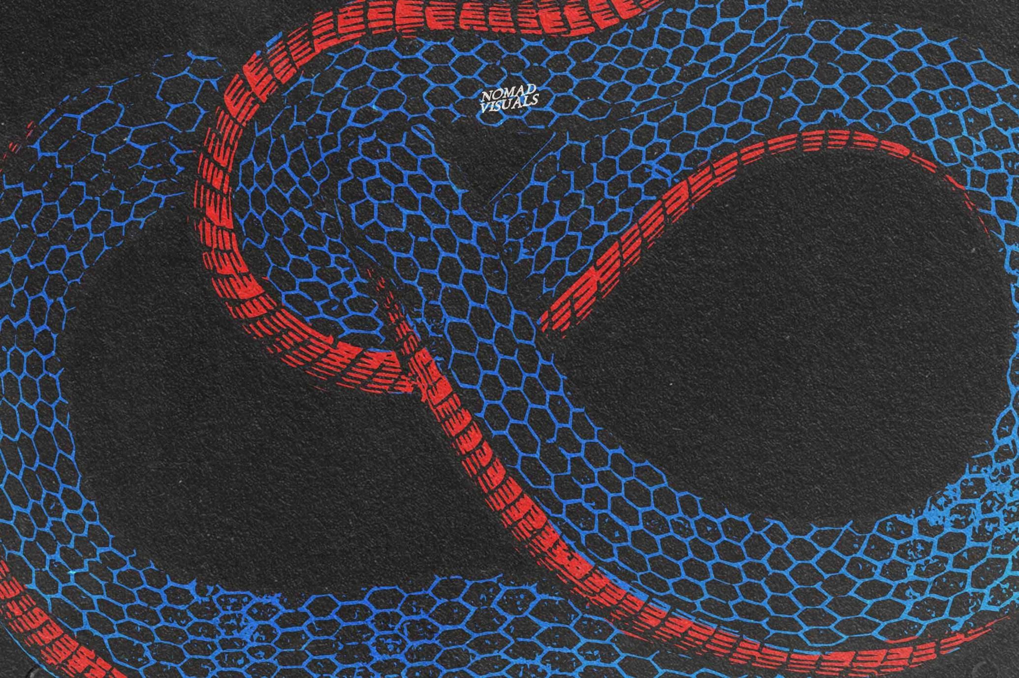 Snakes & Dragons Illustrations
