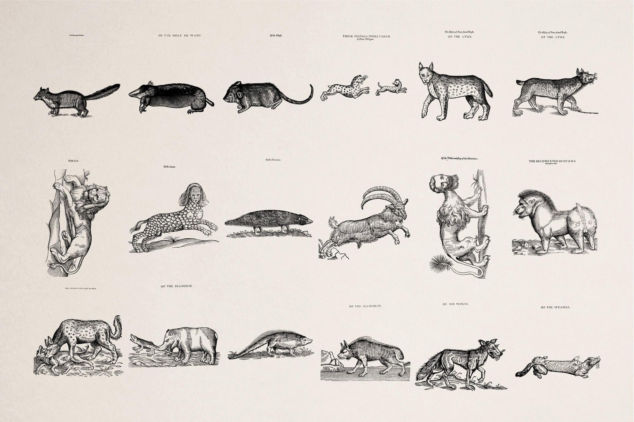 Four Footed Beasts and Animals