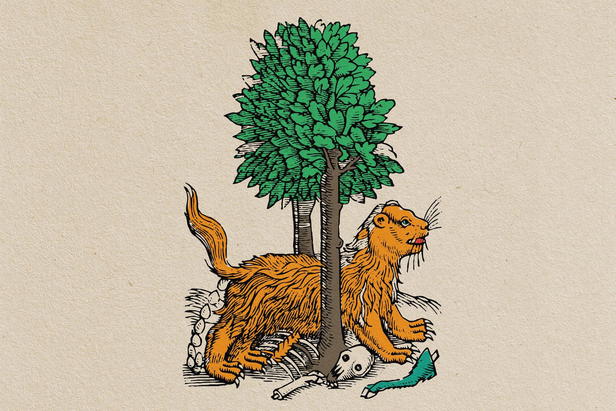 Four Footed Beasts and Animals