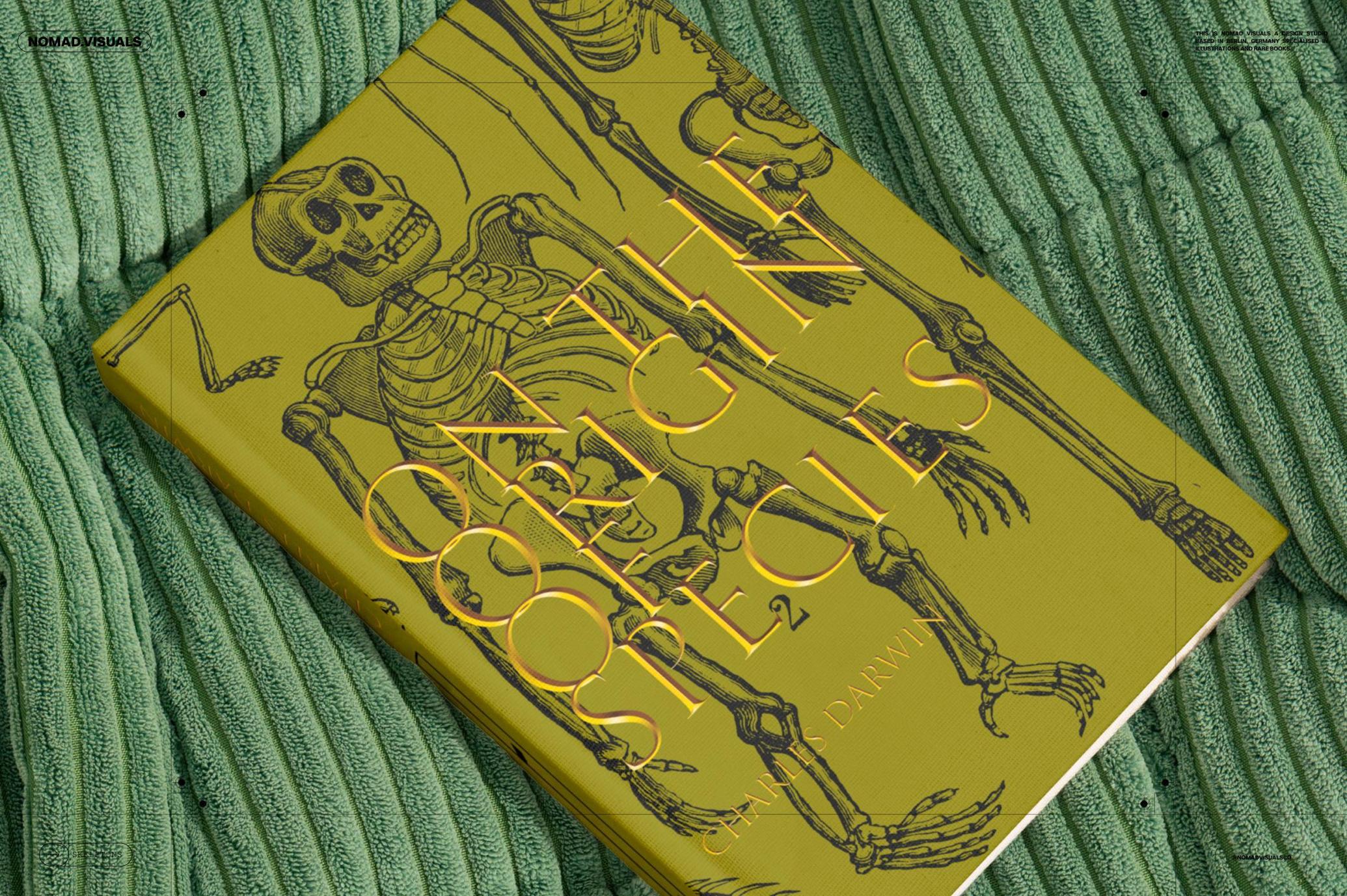 Skeletons & Bones Vector Set
