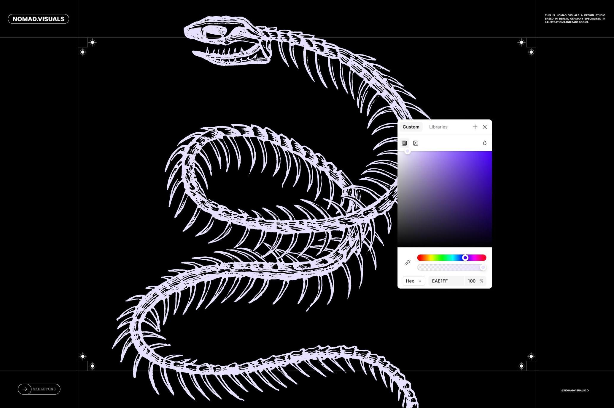 Skeletons & Bones Vector Set