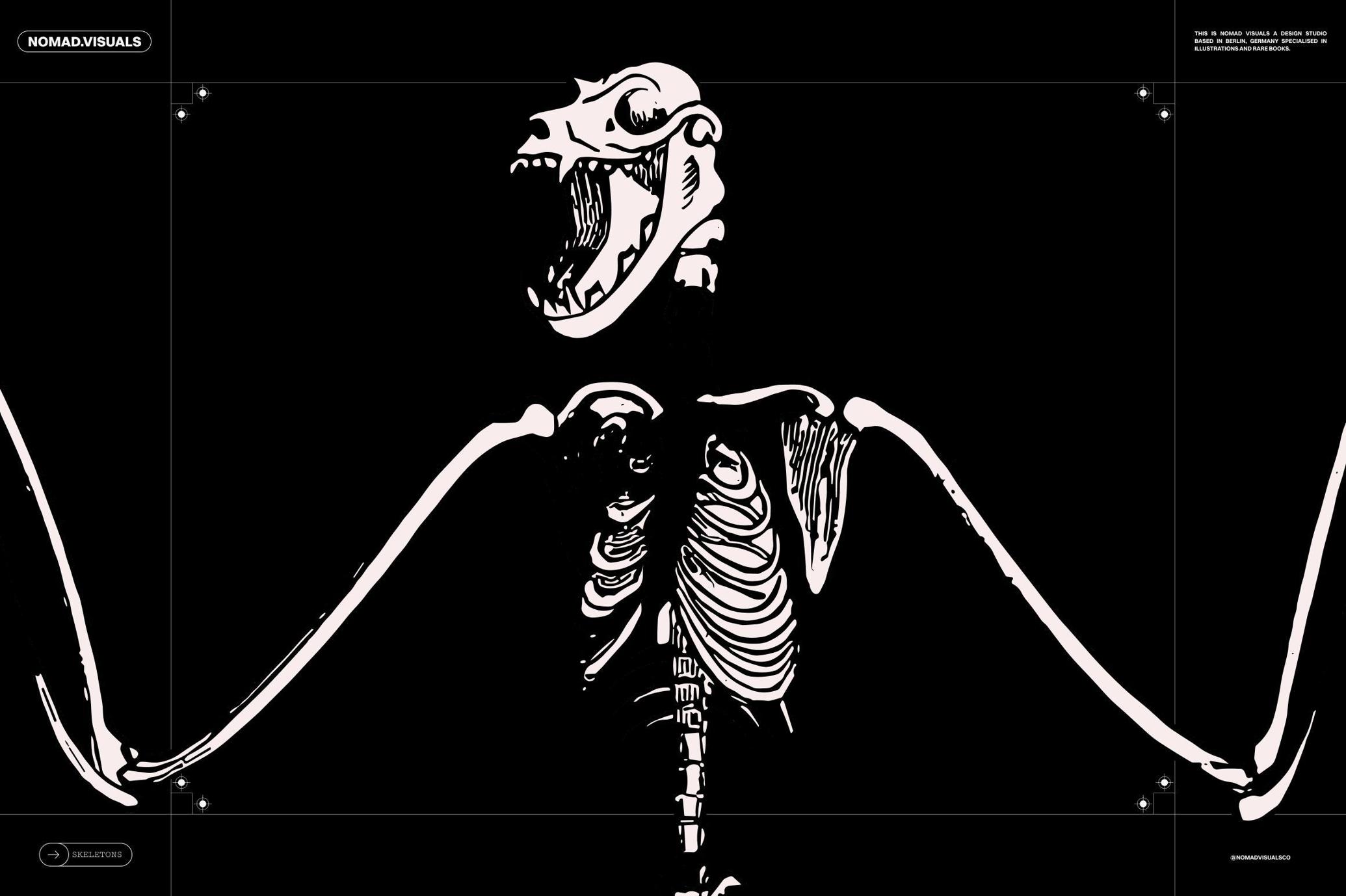 Skeletons & Bones Vector Set
