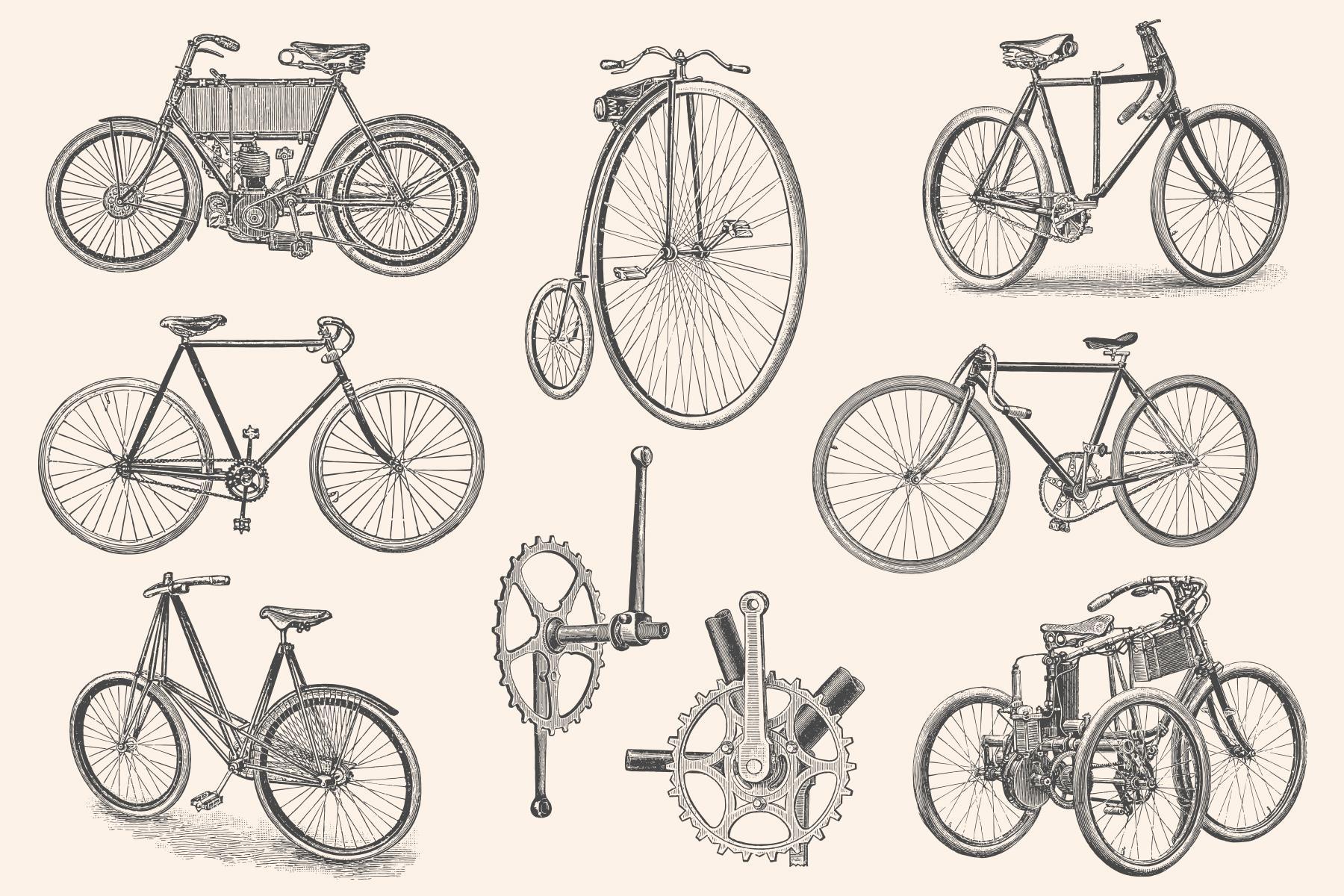 Bicycles Vintage Illustration Set