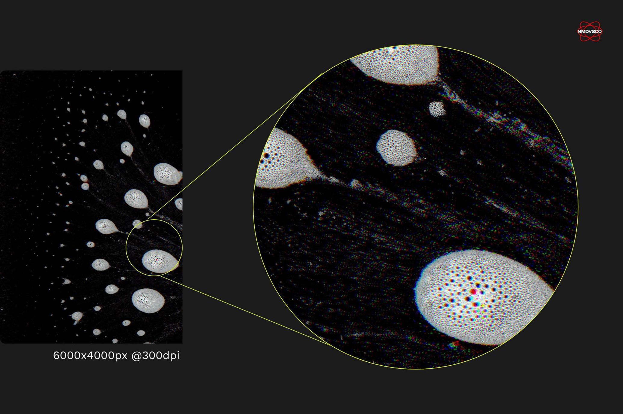 Foamy Scanner Textures