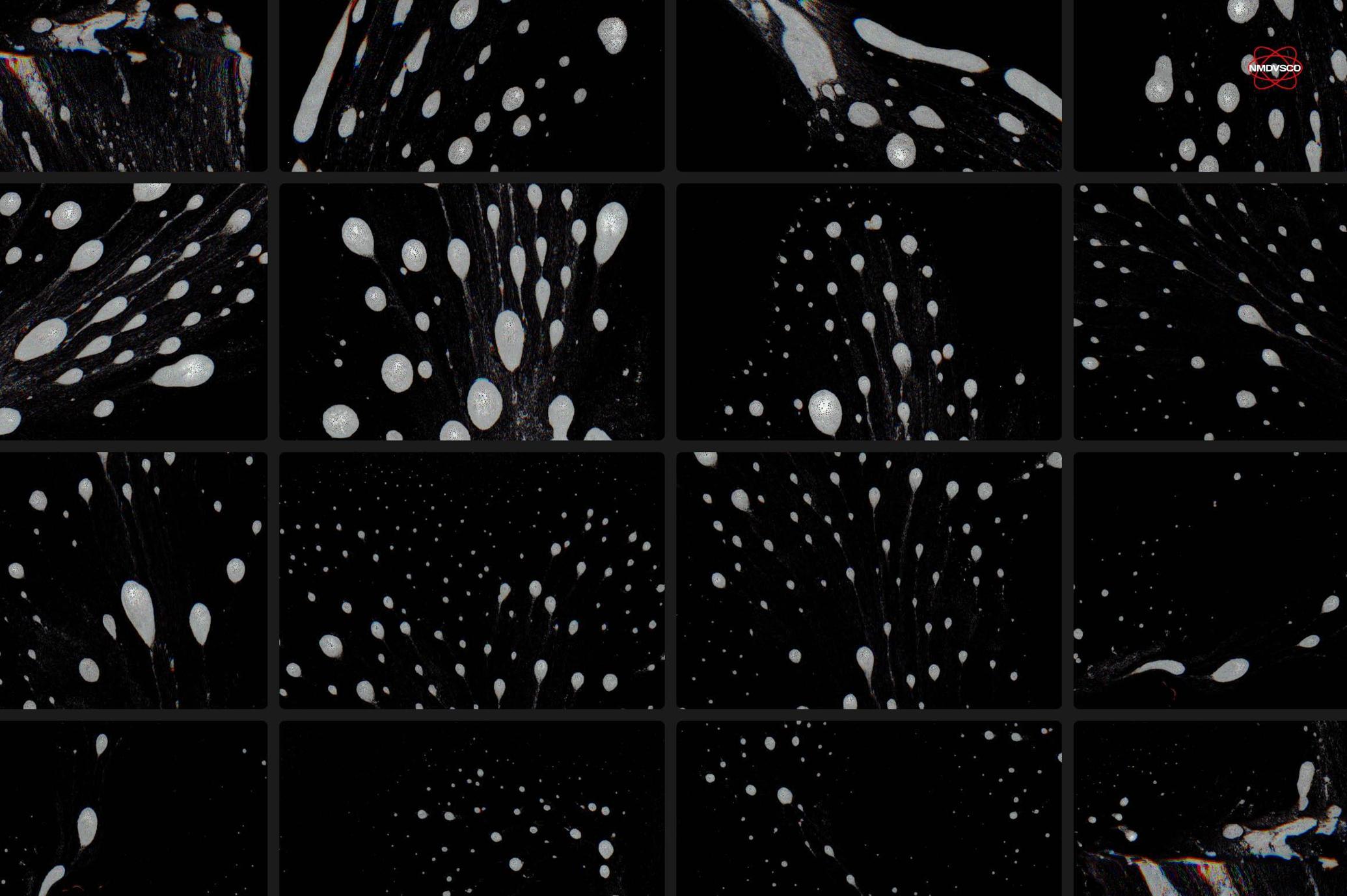 Foamy Scanner Textures
