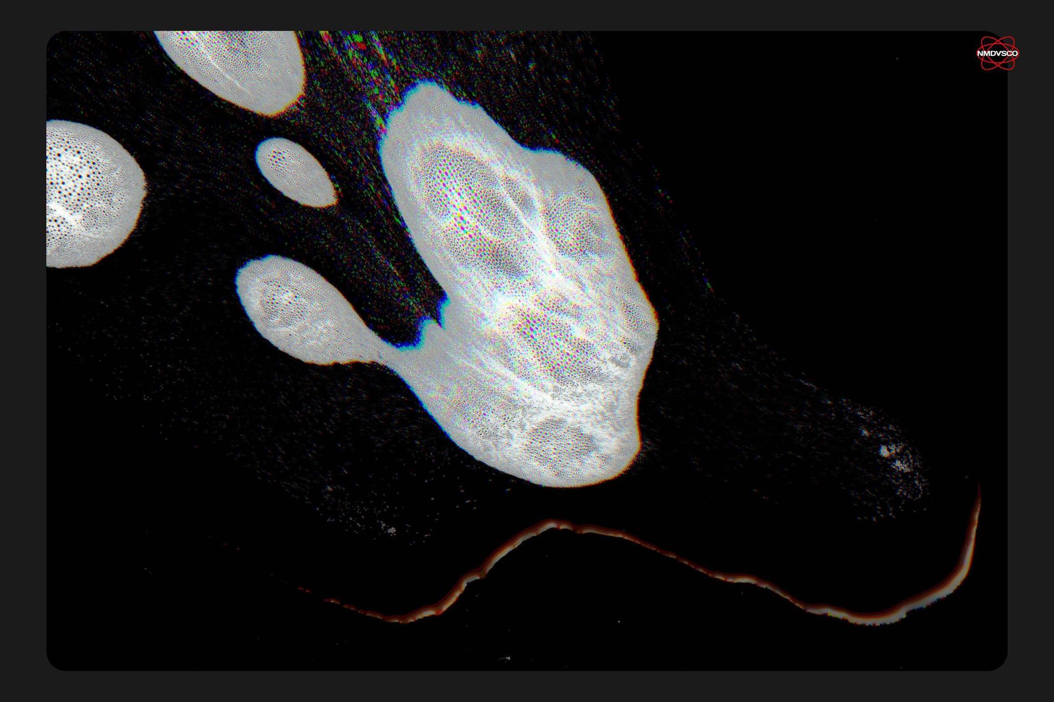 Foamy Scanner Textures