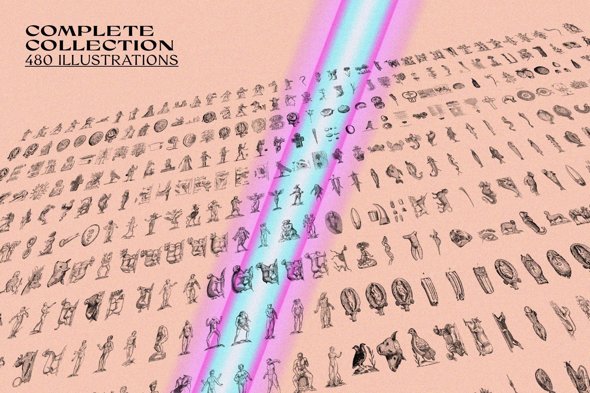 Prodigiorum Naturae - Illustrations