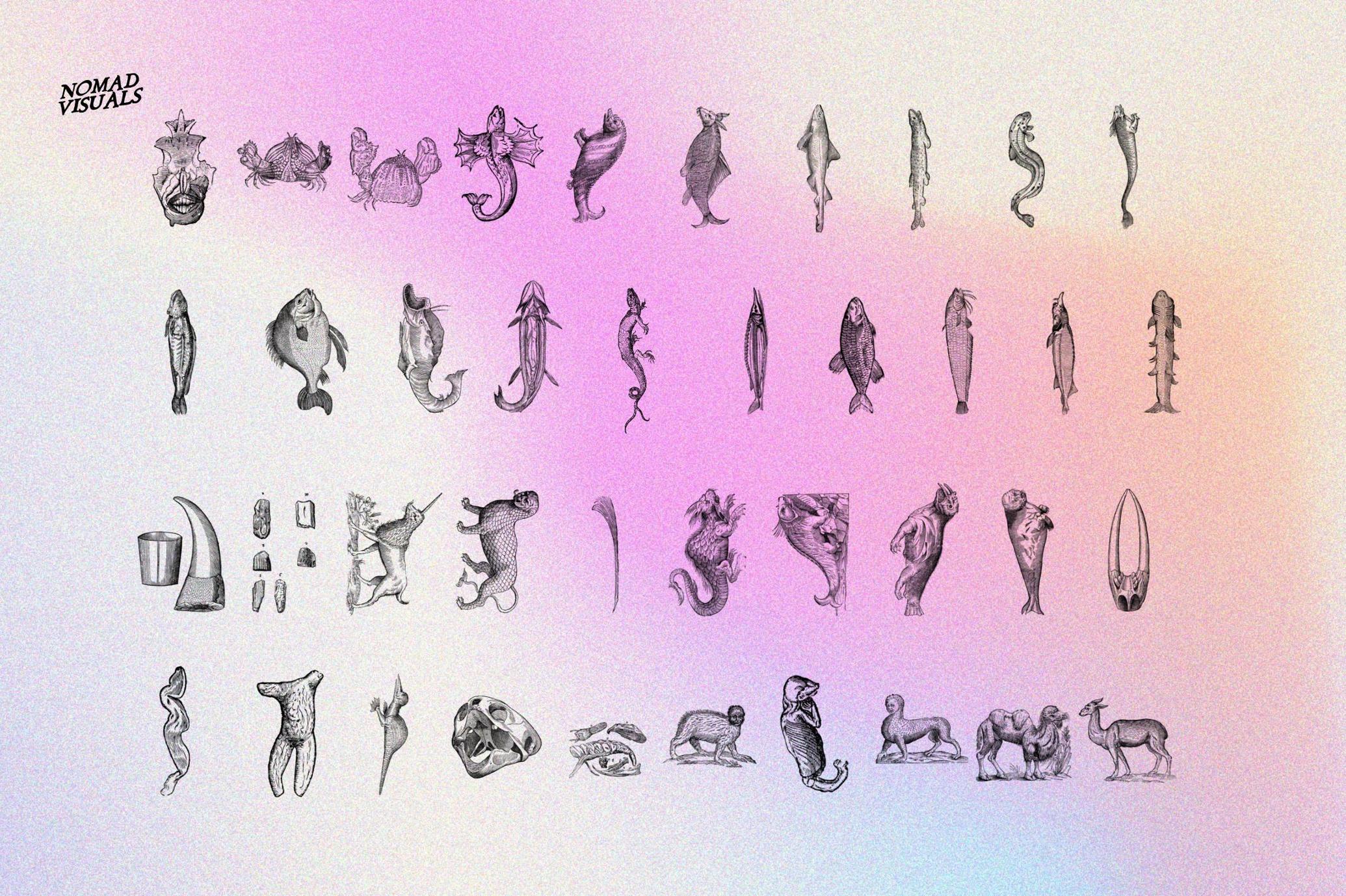 Prodigiorum Naturae - Illustrations