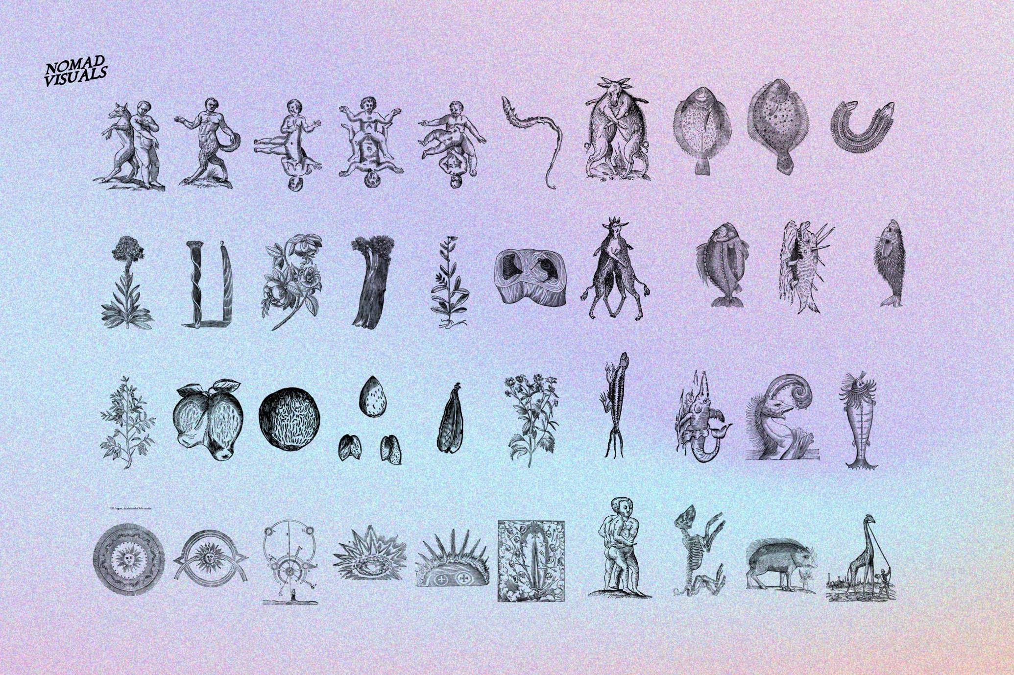Prodigiorum Naturae - Illustrations