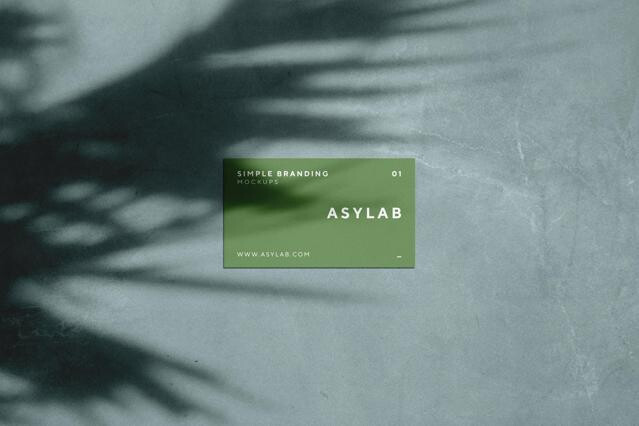 Business Card Mockup with Palm Shadow