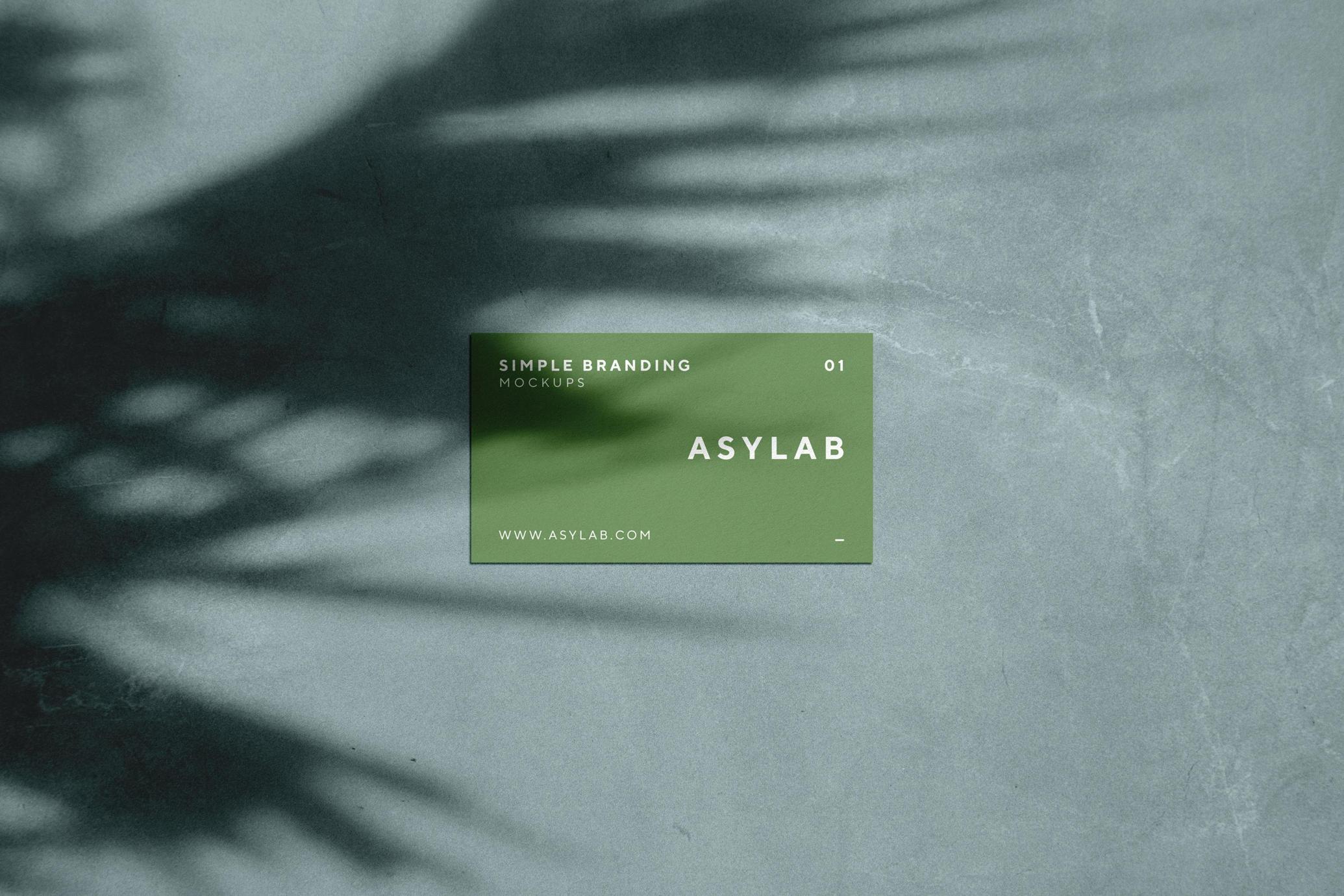 Business Card Mockup with Palm Shadow