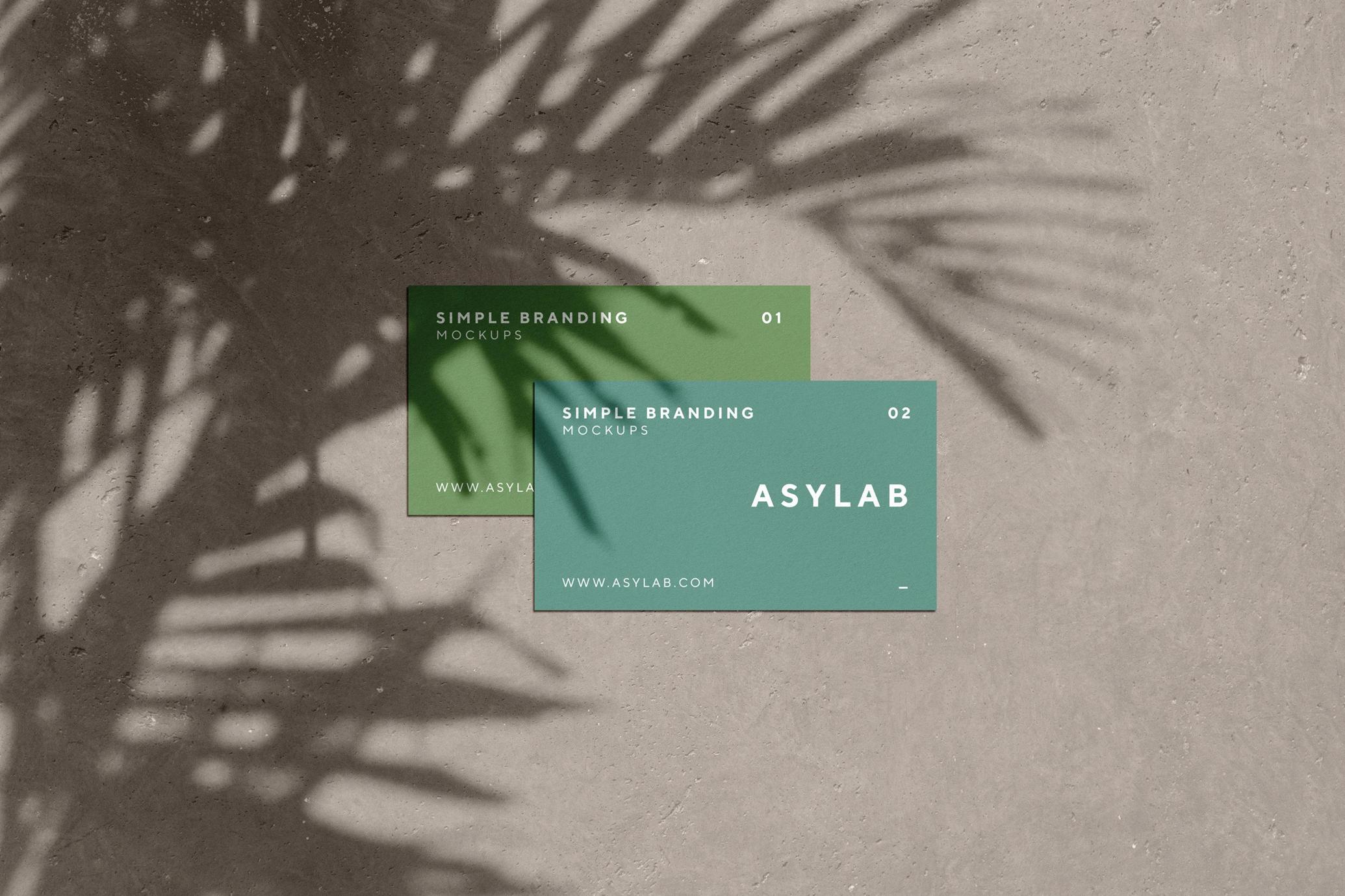 Palm Shadow Business Cards Mockup