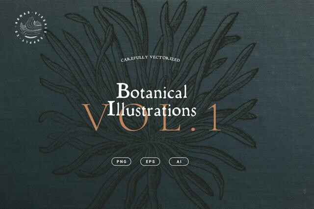 Botanical Illustrations