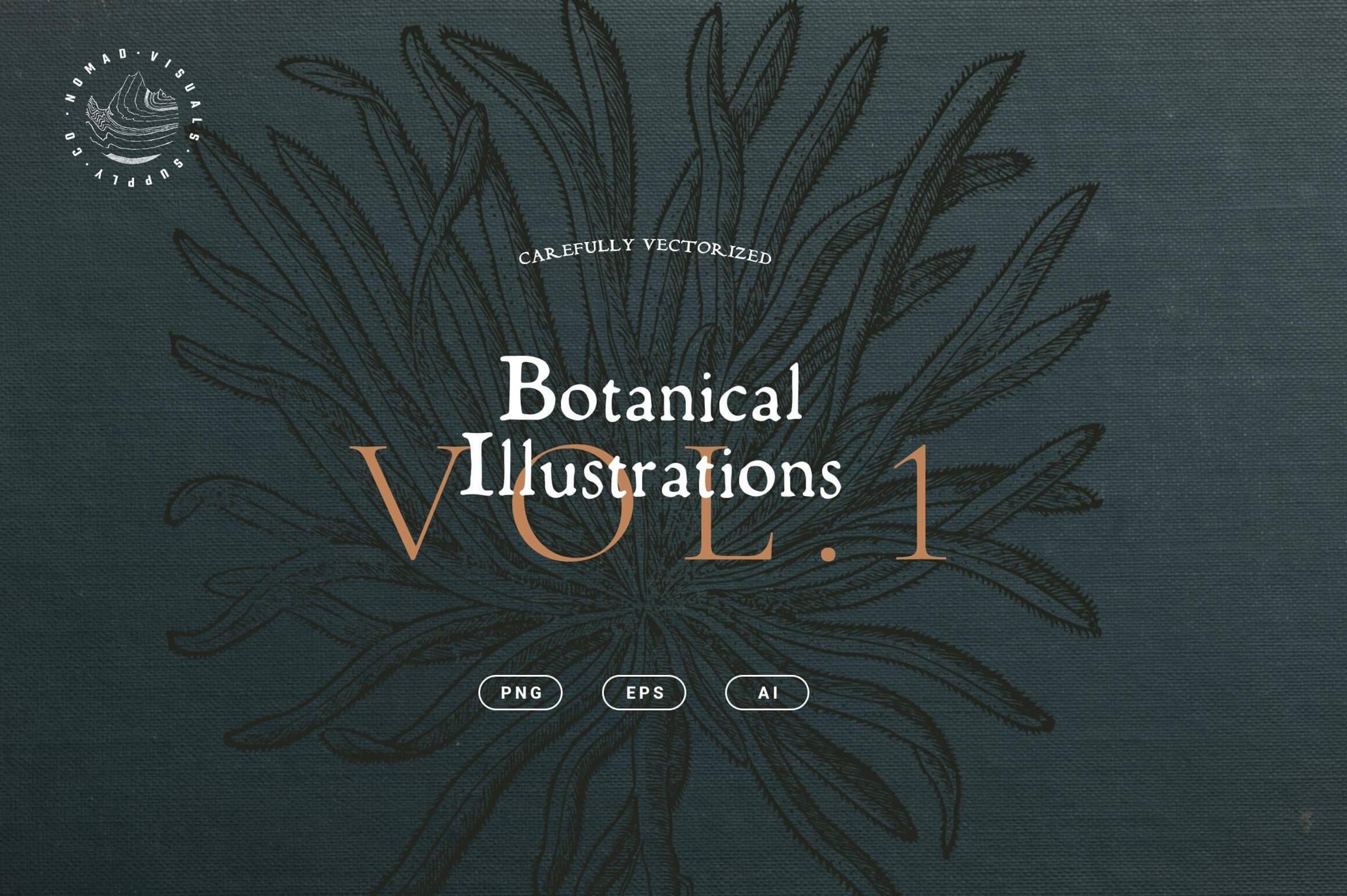 Botanical Illustrations