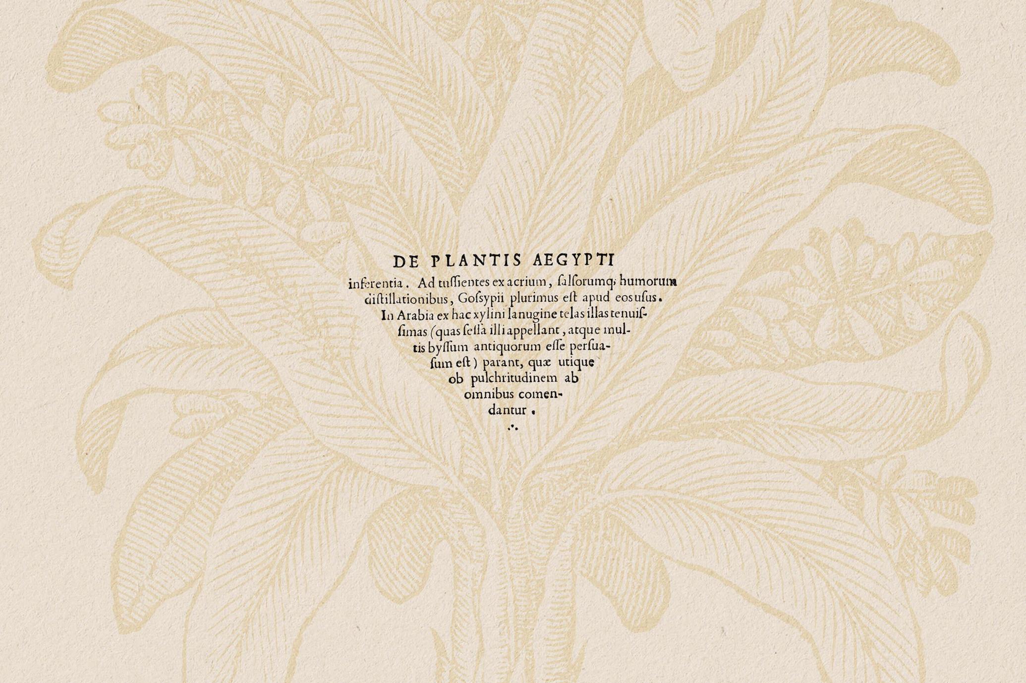 Botanical Illustrations