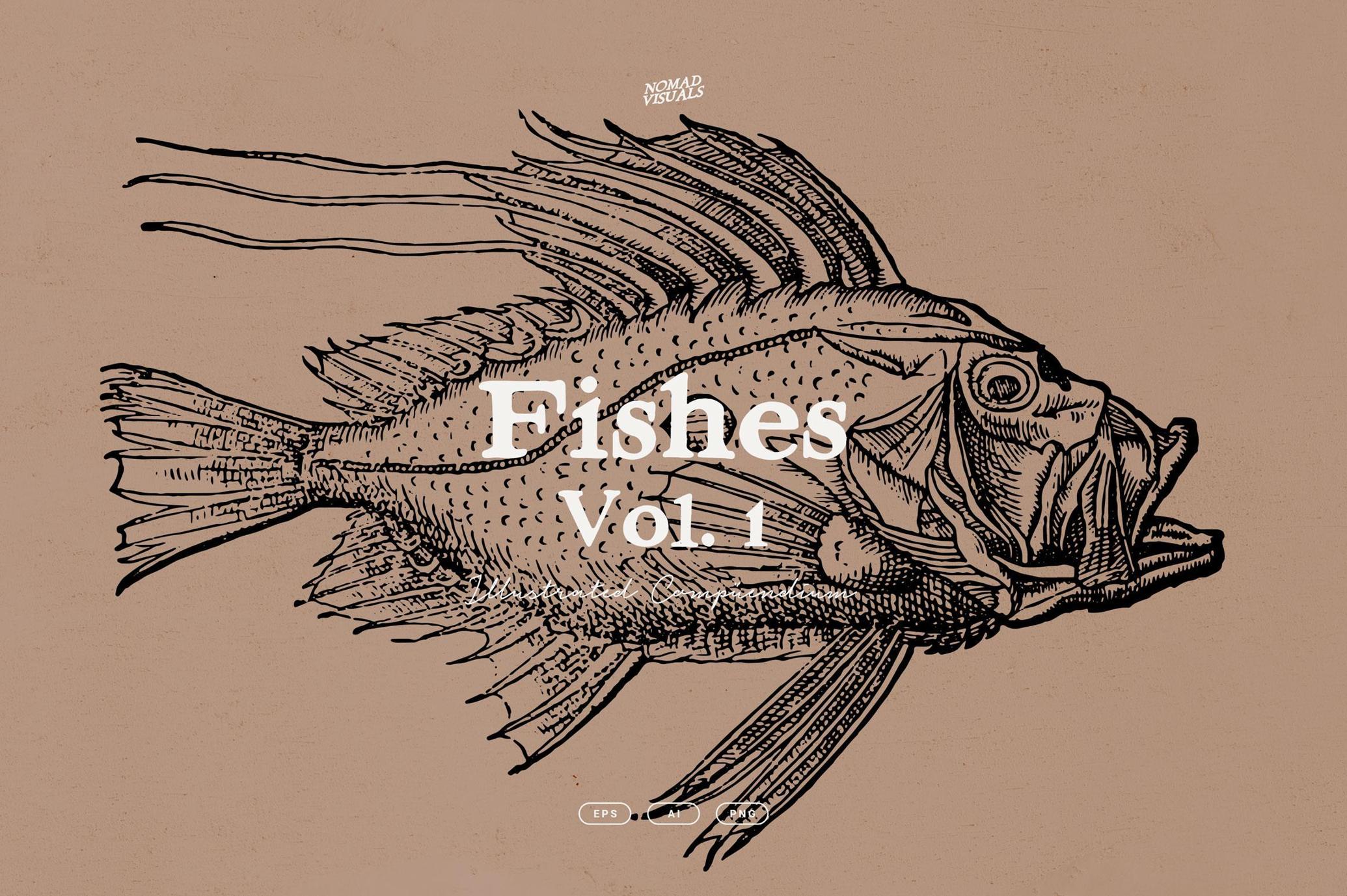 A Renaissance Field Guide to Fish