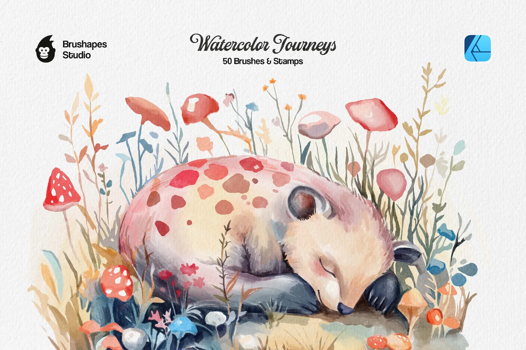 Watercolor Journeys Affinity Brushes