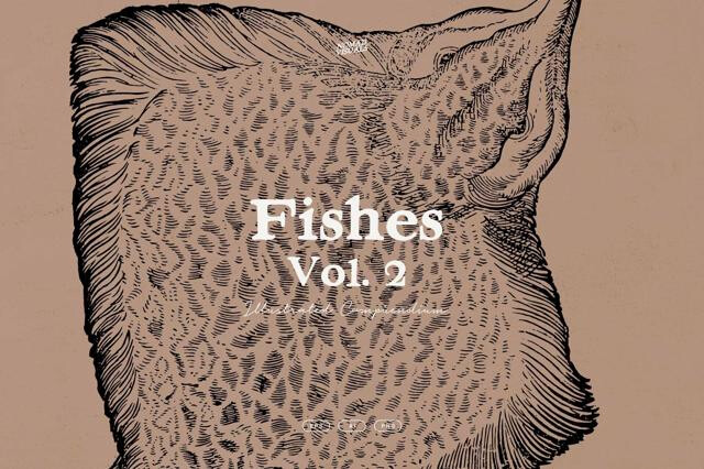 Fish Illustrations