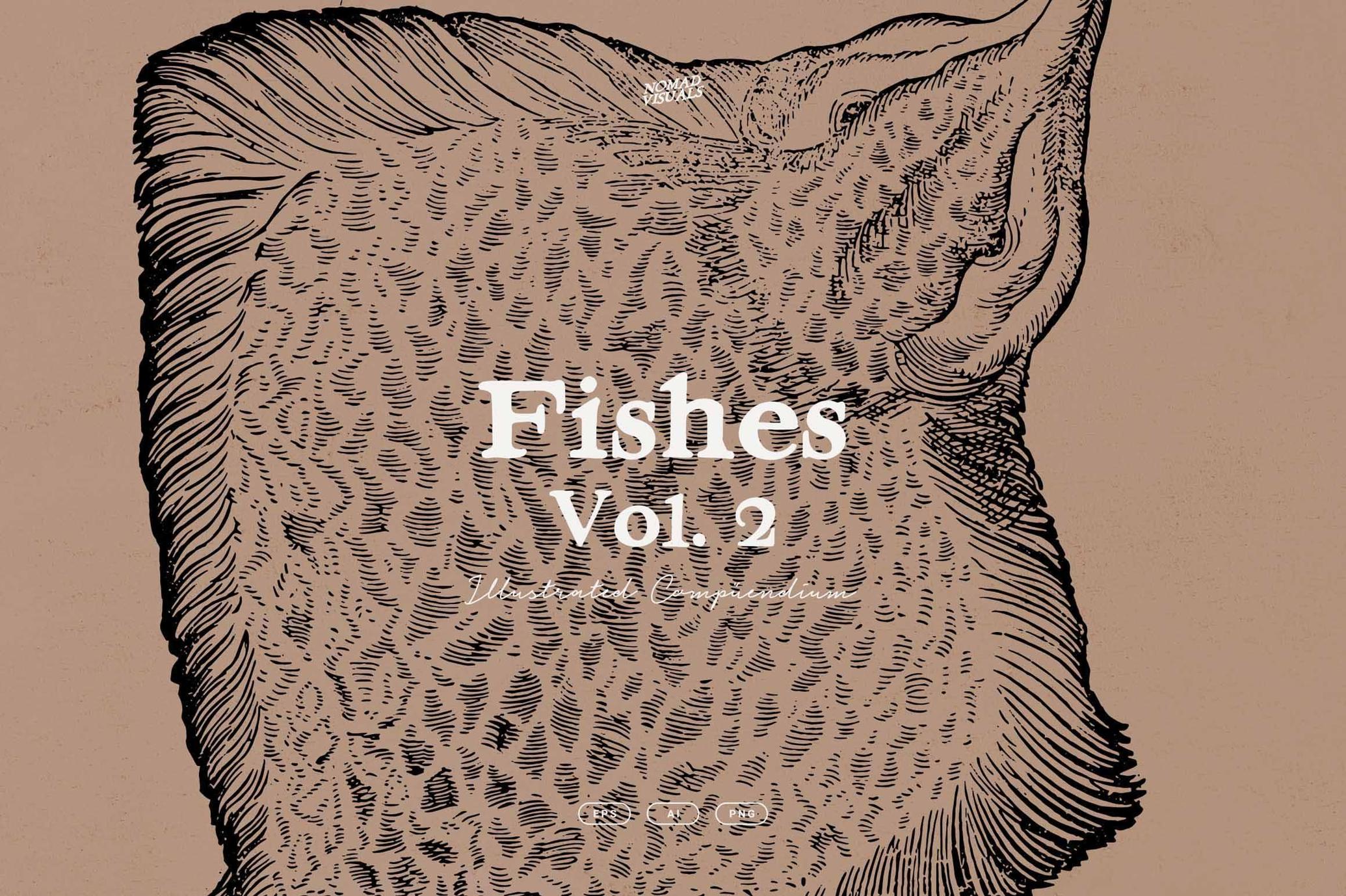 Fish Illustrations