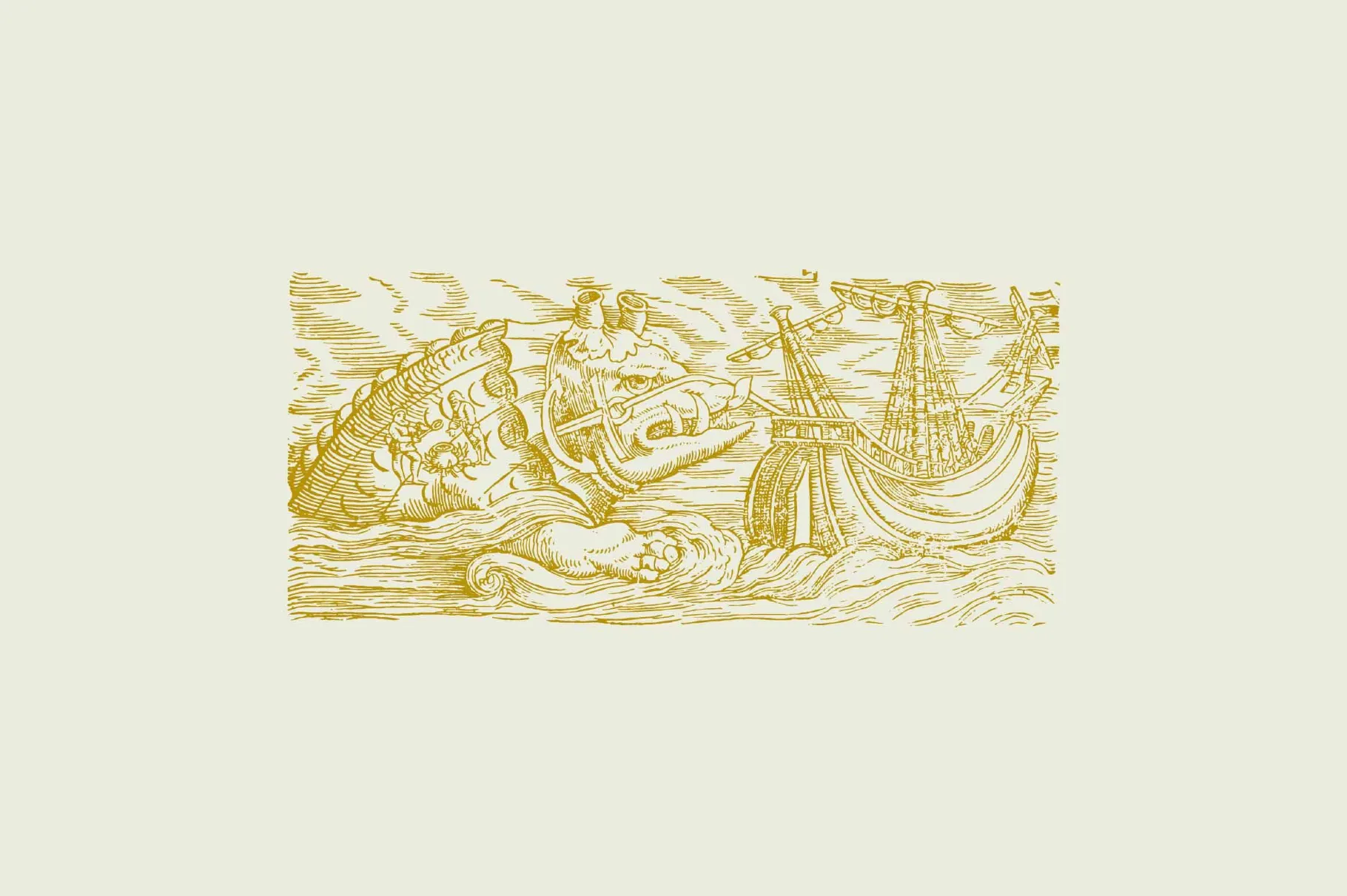 Whales & Sharks Illustrations