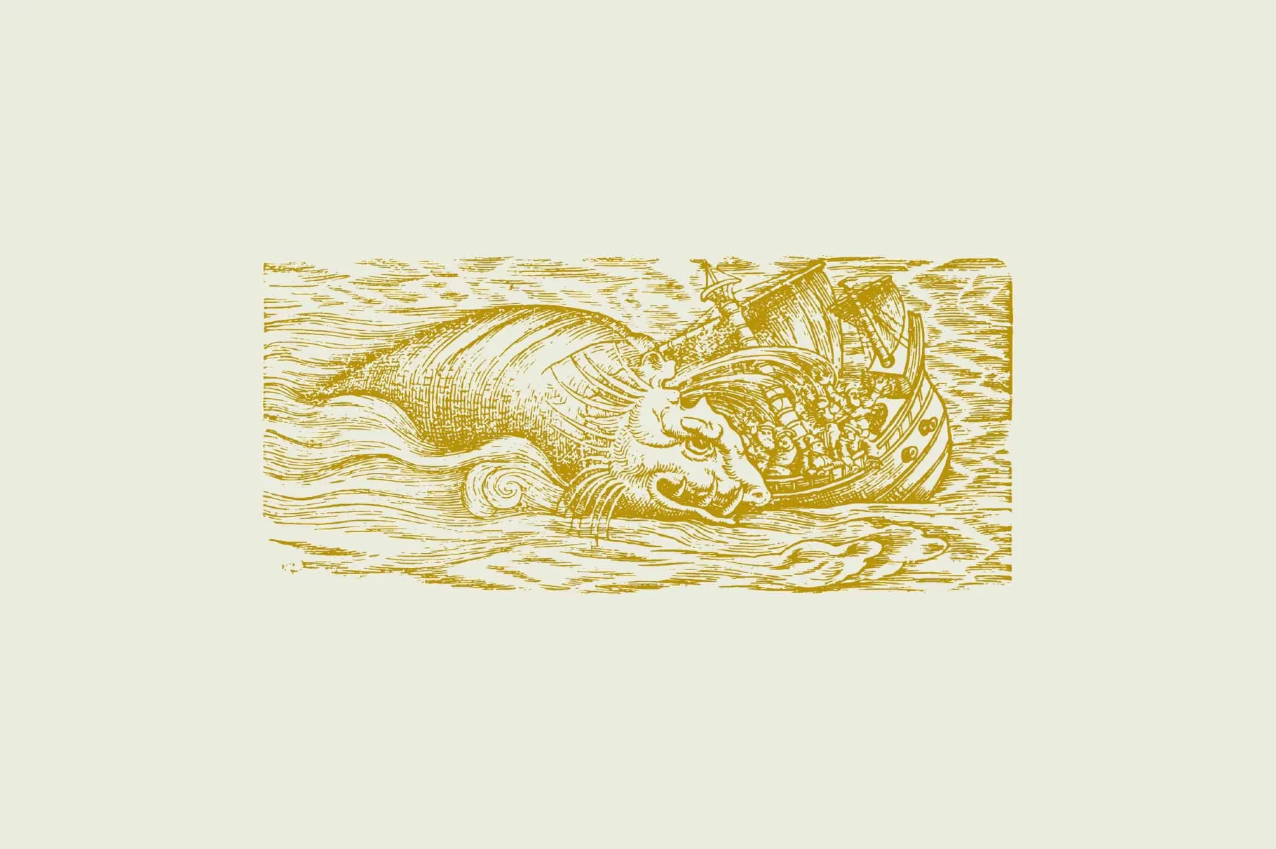 Whales & Sharks Illustrations