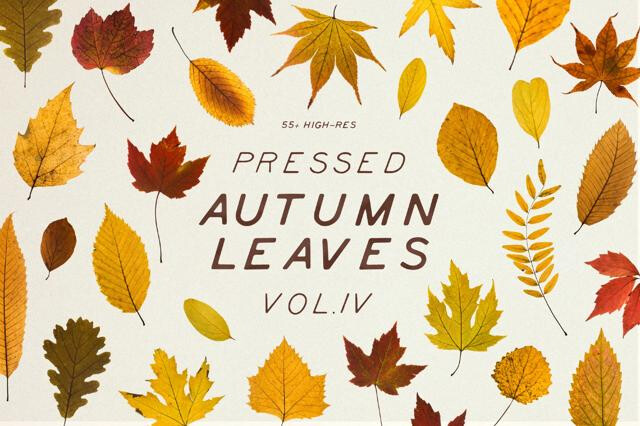 Dried Autumn Leaves Clipart