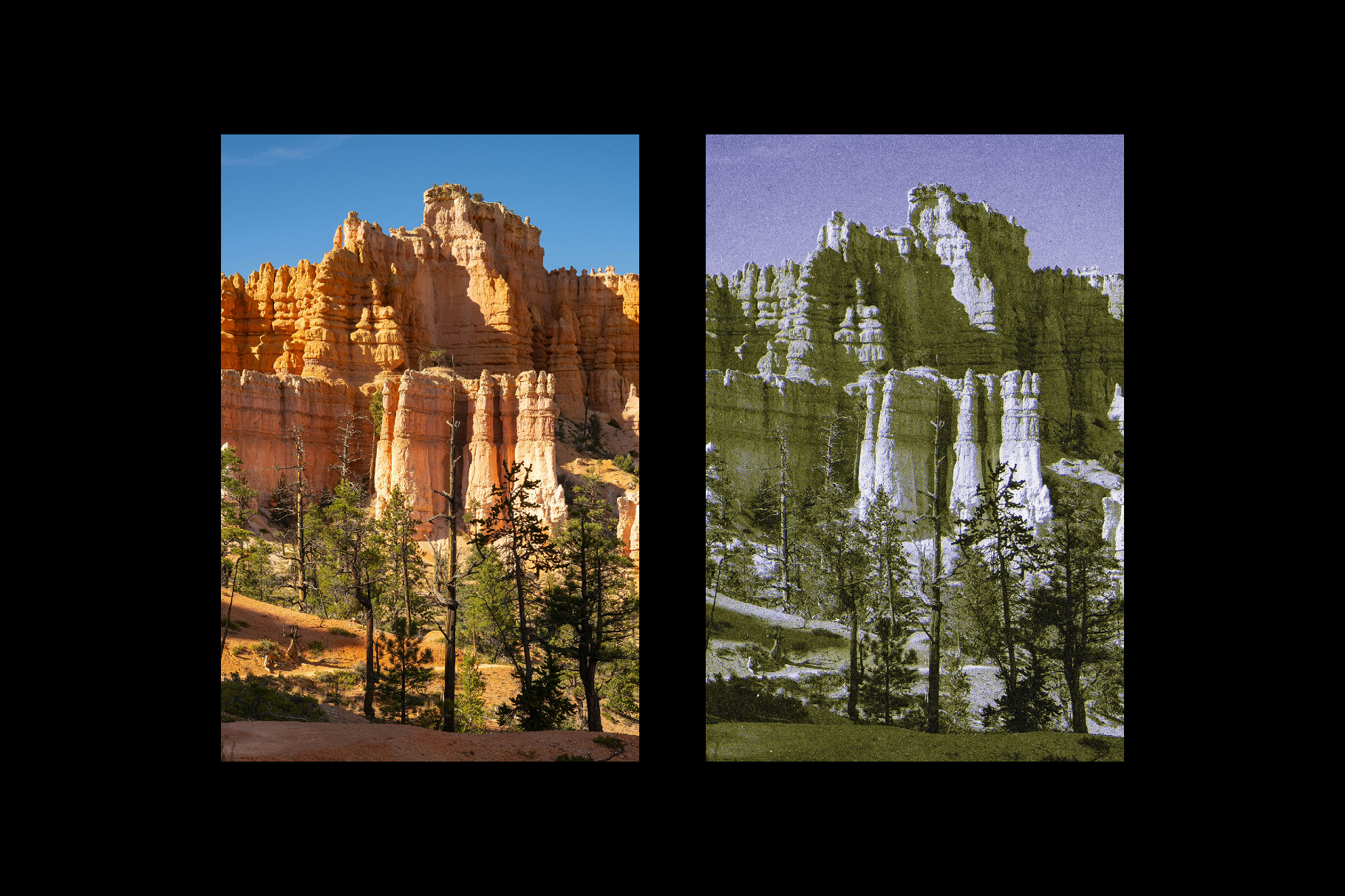 Retro Printed Photo Effect