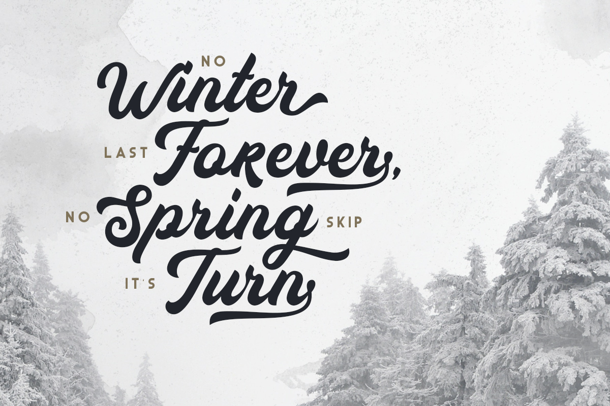 Auckland - Bold Script Font